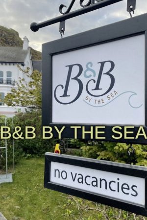 B&B by the Sea (2022) poster