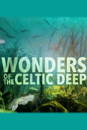 Wonders of the Celtic Deep (2021) poster