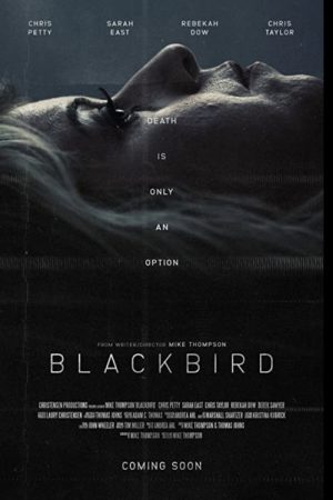 Blackbird (2020) poster