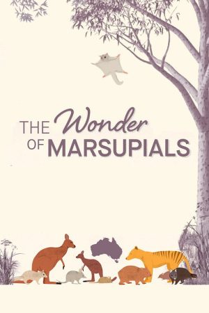 The Wonder of Marsupials (2016) poster