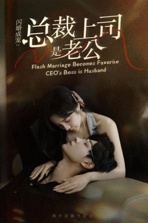 Flash Marriage Love (2023) poster