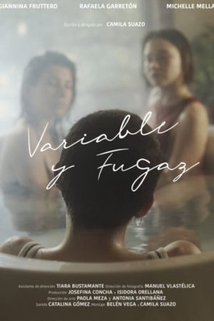 Variable and Fleeting (2020) poster