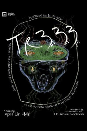TR333 (2021) poster