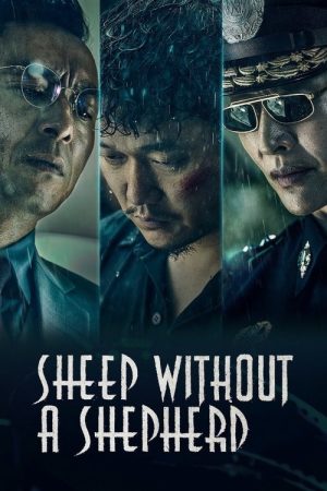 Sheep Without a Shepherd (2019) poster