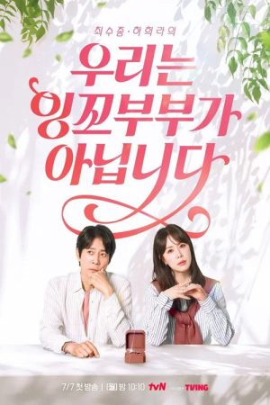우리는 잉꼬부부가 아닙니다 (2025) poster