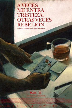 Sometimes Sadness, Sometimes Rebellion (2026) poster