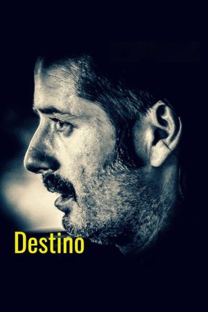 Destiny (2019) poster