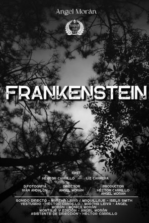 Frankenstein The Creature (2025) poster