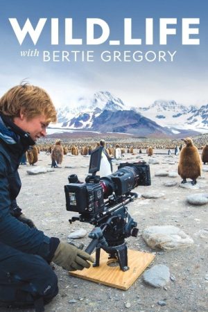 Wild Life: The Big Freeze (2020) poster