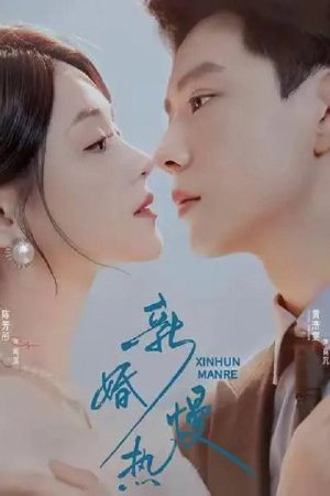 新婚慢热 (2025) poster