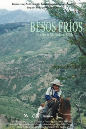 Cold Kisses (2016) poster