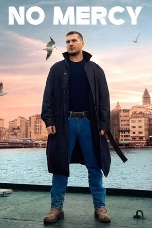 Gaddar (2024) poster