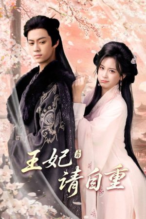 王妃请自重 (2025) poster