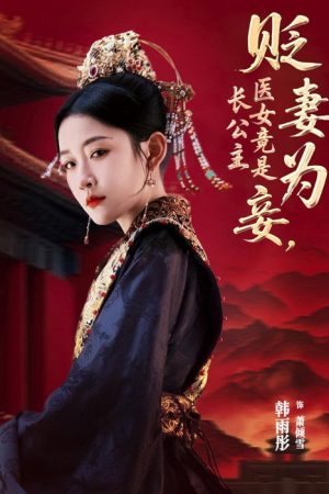 贬妻为妾，医女竟是长公主 (2025) poster