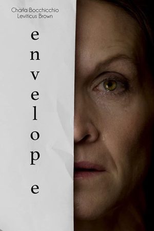 Envelop(e) (2020) poster