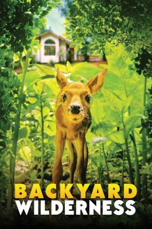 Backyard Wilderness (2018) poster