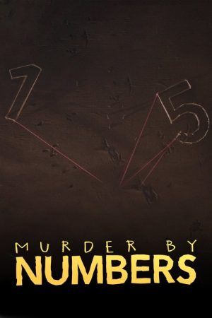 Murder by Numbers (2017) poster