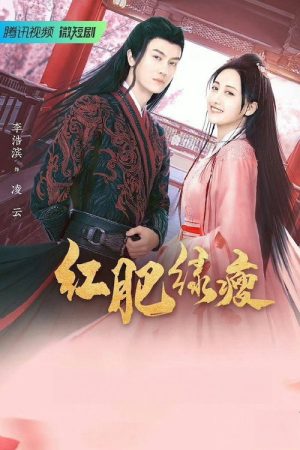 红肥绿瘦 (2023) poster