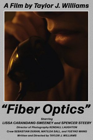 Fiber Optics (2022) poster