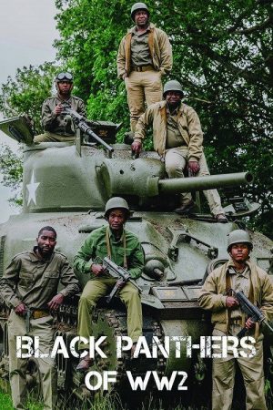 The Black Panthers of WW2 (2021) poster