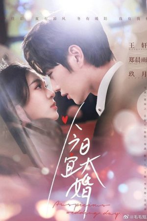 Auspicious Wedding Day (2025) poster