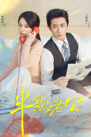 半熟老公 (2025) poster