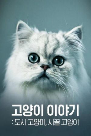 고양이 이야기 – 도시 고양이, 시골 고양이 (2017) poster