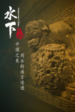 水下中国 (2019) poster