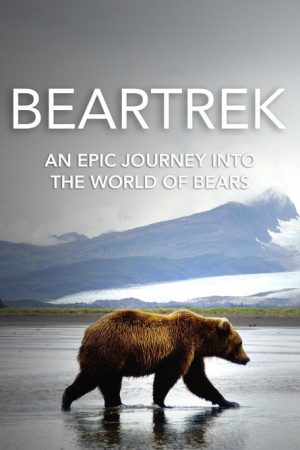 Beartrek (2016) poster