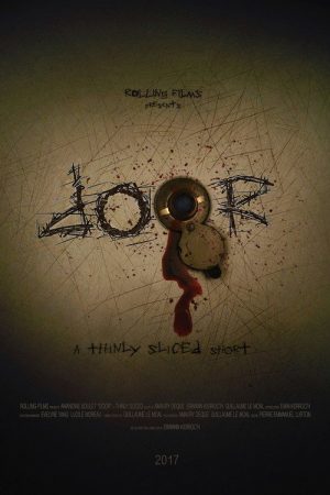 Door (2017) poster