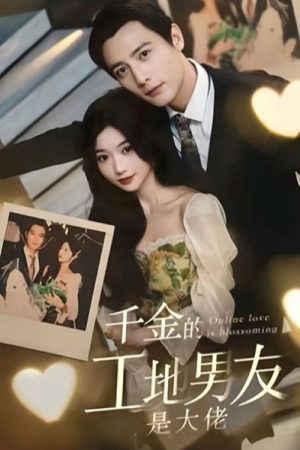 千金的工地男友是大佬 (2023) poster