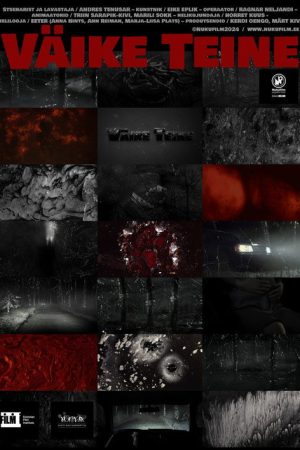 The Little Other (2024) poster