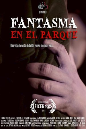 The Ghost In The Park (2018) poster