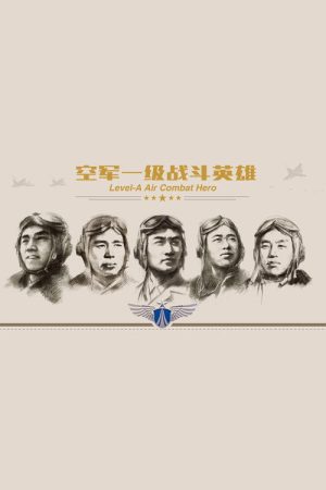 空军一级战斗英雄 (2017) poster