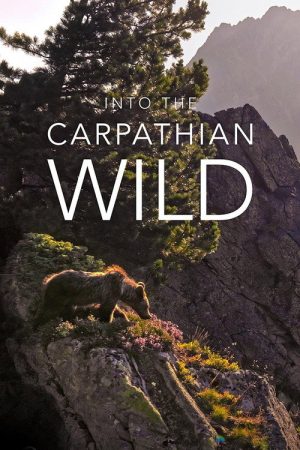 Into the Carpathian Wild (2025) poster