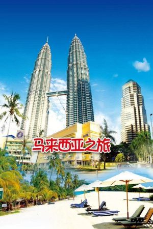 旅行马来西亚 (2020) poster
