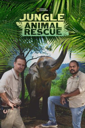 Jungle Animal Rescue (2020) poster