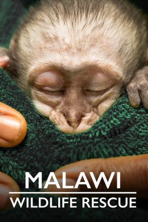 Malawi Wildlife Rescue (2021) poster