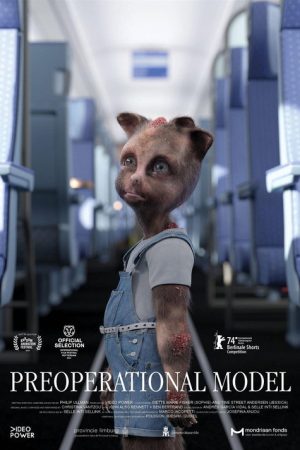 Preoperational Model (2024) poster