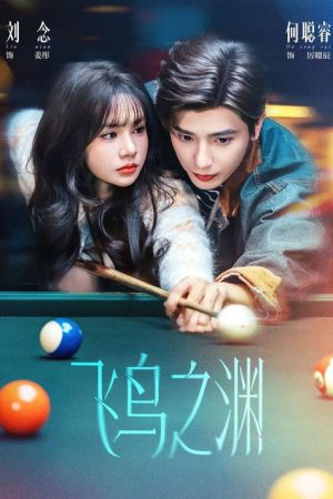 飞鸟之渊 (2026) poster