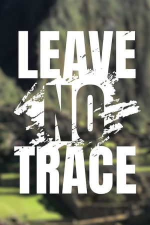 Leave No Trace (2020) poster