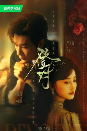 登对·斯年如故 (2026) poster