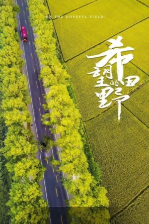 希望的田野 (2017) poster