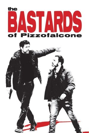 I bastardi di Pizzofalcone (2017) poster