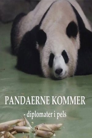 Pandaerne kommer – Diplomater i pels (2019) poster