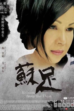 苏足 (2016) poster