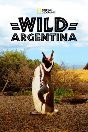 Wild Argentina (2017) poster