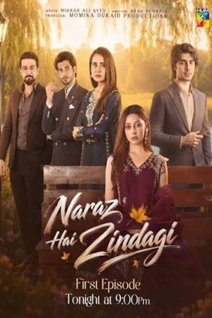 Naraz Hai Zindagi (2026) poster