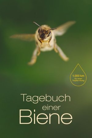 Diary of a Bee (2021) poster