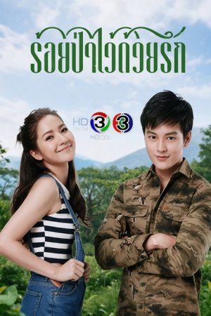 ร้อยป่าไว้ด้วยรัก (2017) poster